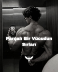 Parçalı Bir Vücudun Sırları