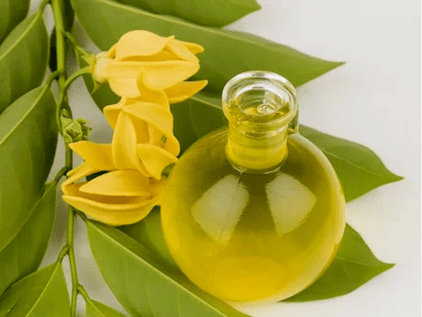 Aromaterapia para mejorar la potencia